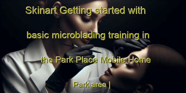 Skinart Getting started with basic microblading training in the Park Place Mobile Home Park area | MicrobladingTraining | MicrobladingClasses | SkinartTraining-United States